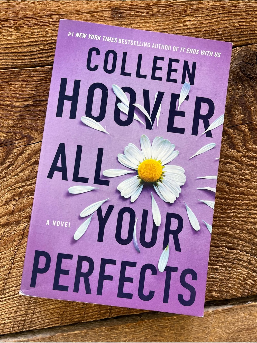 All Your Perfects Purple Novel